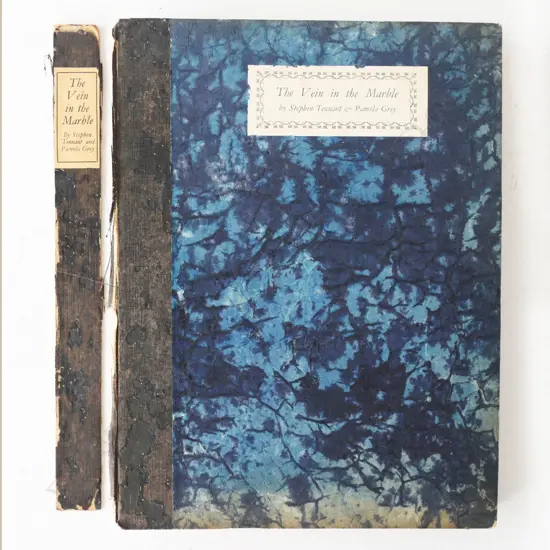 STEPHEN TENNANT: THE VEIN IN THE MARBLE